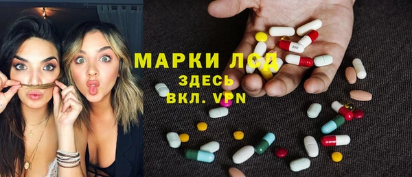 стаф Аркадак
