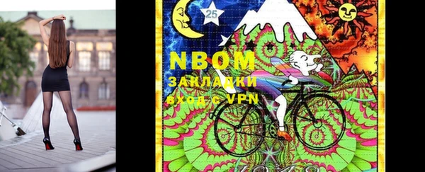стаф Аркадак