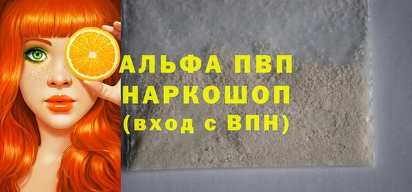 стаф Аркадак