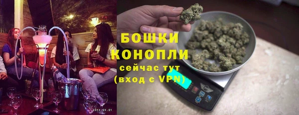 стаф Аркадак