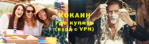 стаф Аркадак